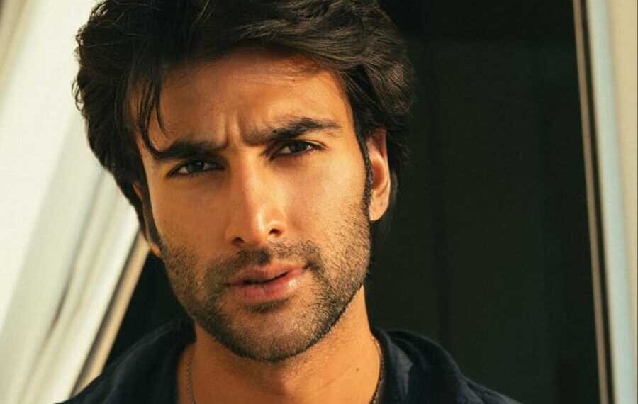 Meezaan Jafri: From Malaal to Yaariyan 2 - A Journey of Captivating Performances